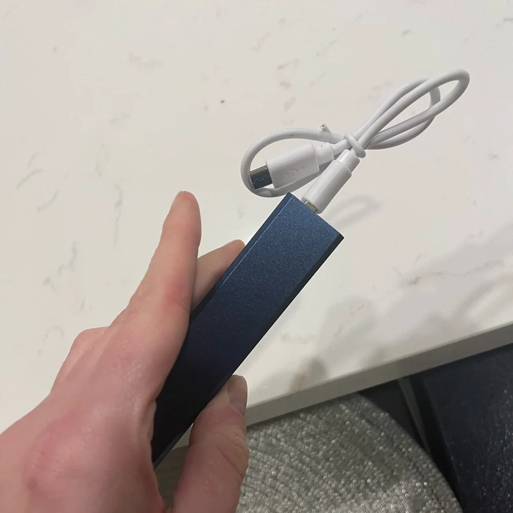 Rice Business Portable Charger